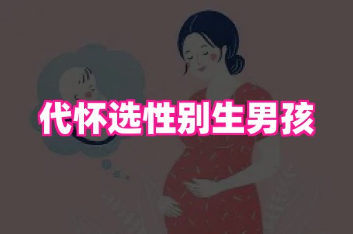 试管助孕网站 1