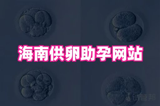 试管助孕网站 3