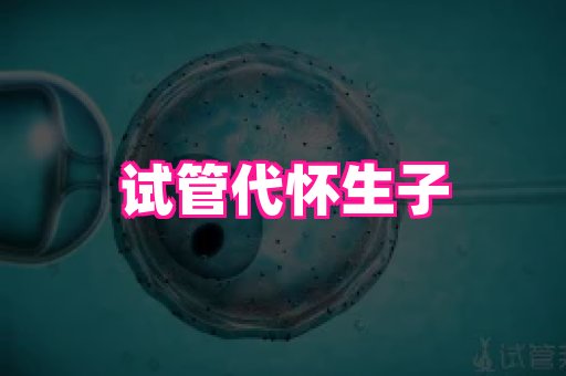试管助孕网站 4